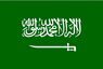 Flag of Saudi Arabia, featured in the: Saudi Arabia insurance, post.