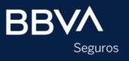 BBVA Seguros Logo, an insurer in Argentina