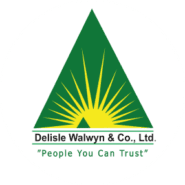 DELISLE WALWYN logo