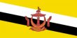 Flag of Brunei, featured in the: Brunei Insurance, post