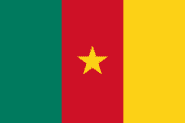 Flag of Cameroon featured In the: African Insurance Company, Post