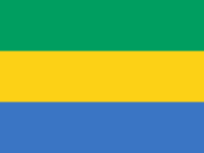 Flag of Gabon featured In the: Gabon Insurance Guide 2025: Top Companies & Coverage, Post