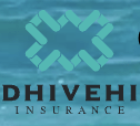 Dhivehi Insurance Logo