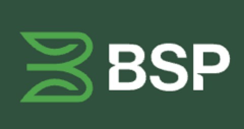 BSP Insurance logo - Tonga