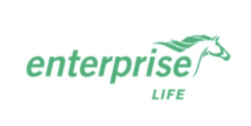 Enterprise Life Logo, an insurer in Nigeria