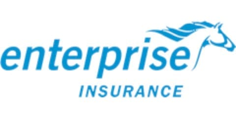 Enterprise logo