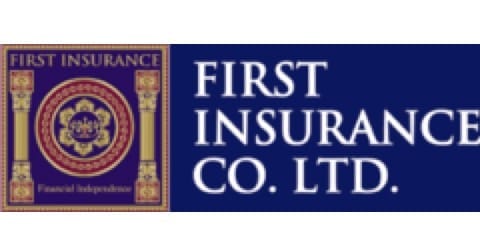 First Insurance Co logo