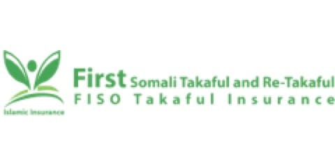 Fiso logo