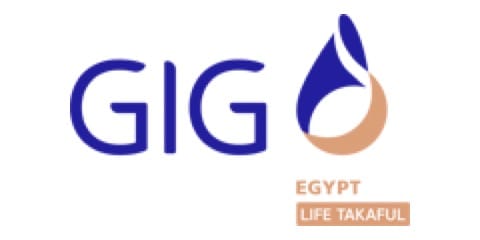 Gig Egypt logo