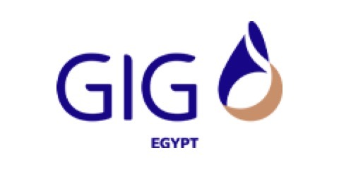 GIG logo, an insurer in Egypt