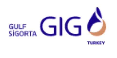 GIG Turkey logo