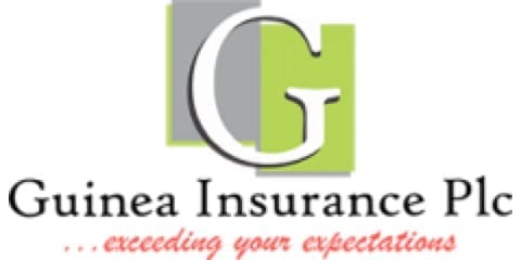 Guinea Insurance logo