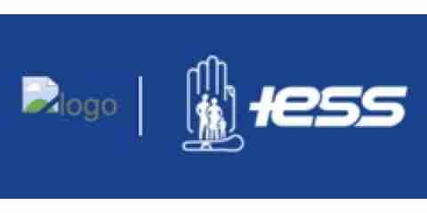IESS logo, Ecuador Insurance Companies