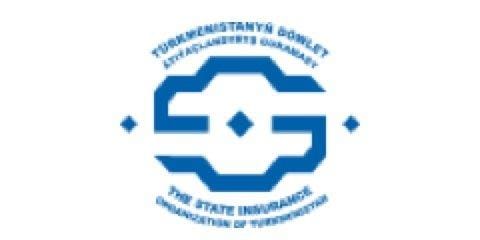 The State Insurance Logo